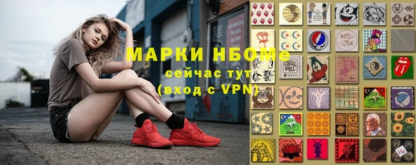 гидропоника Алзамай