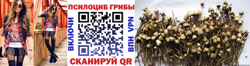 Псилоцибиновые грибы мицелий  Бронницы 